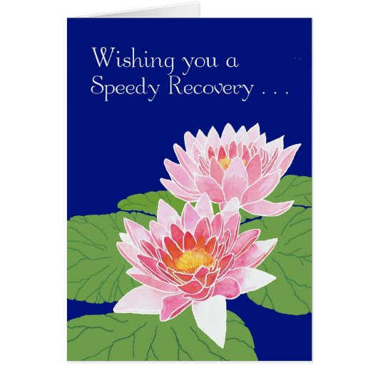 Beautiful Pink Water Lilies on Blue Get Well (Front)