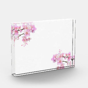 Beautiful pink watercolor cherry blossoms acrylic award