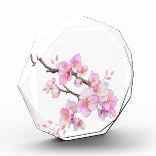 Beautiful pink watercolor cherry blossoms acrylic award
