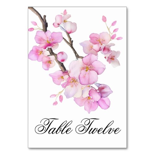 Beautiful pink watercolor cherry blossoms script table number