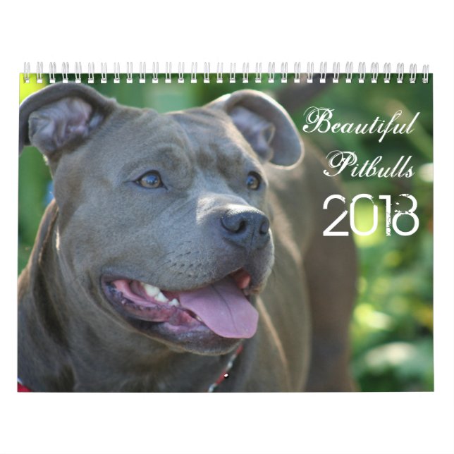 Beautiful Pitbulls 2018 Dog Calendar (Cover)