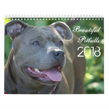Beautiful Pitbulls 2018 Dog Calendar by ritmoboxer at Zazzle