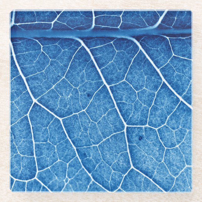 Beautiful Plant Closeup Texture Background Glass Coaster (Front)
