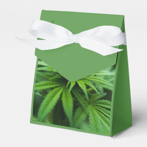 Beautiful Plant Favor Boxes