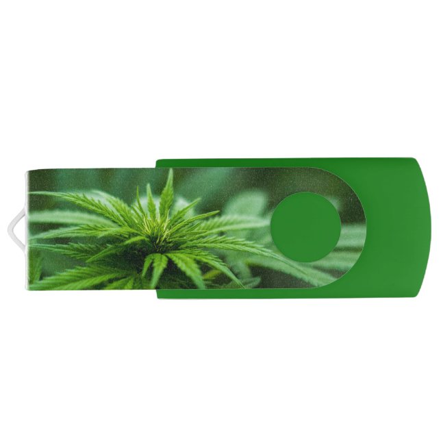 Beautiful Plant Flash Drive (Back)
