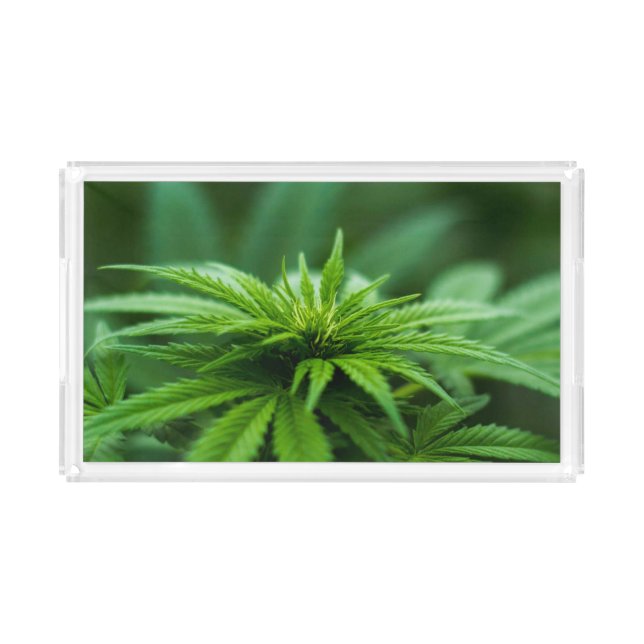 Beautiful Plant Lush Weed Acrylic Tray (Front)