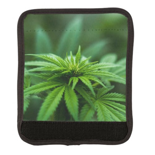 Beautiful Plant Lush Weed Luggage Handle Wrap