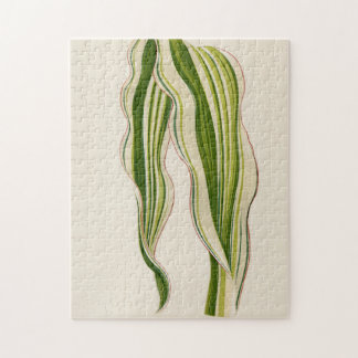 Beautiful Plants Gardener Special Gift  Jigsaw Puzzle