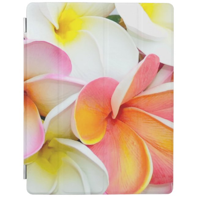 Beautiful Plumeria Flower Petals iPad Smart Cover (Front)