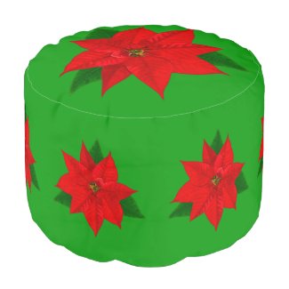 Beautiful Poinsettia Flowers on Green