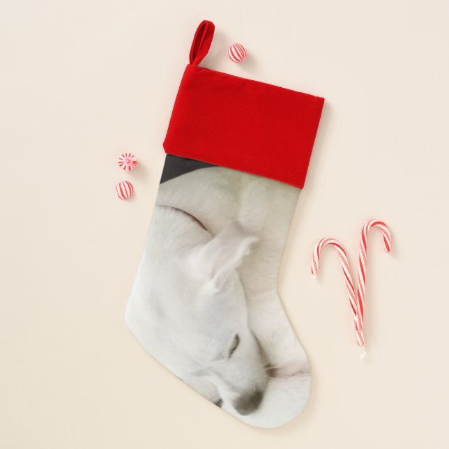 Beautiful Polar White Lab Mix Dog Christmas Stocking (Front)