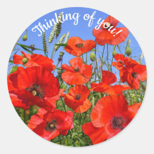 Beautiful Poppy Field Thinking of You Classic Round Sticker