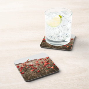 beautiful poppy flowers beverage coaster