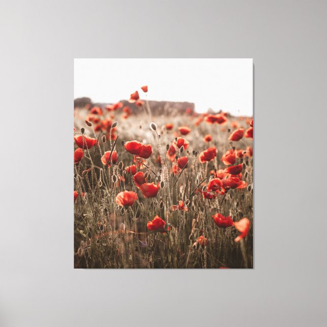 beautiful poppy flowers canvas print (Front)