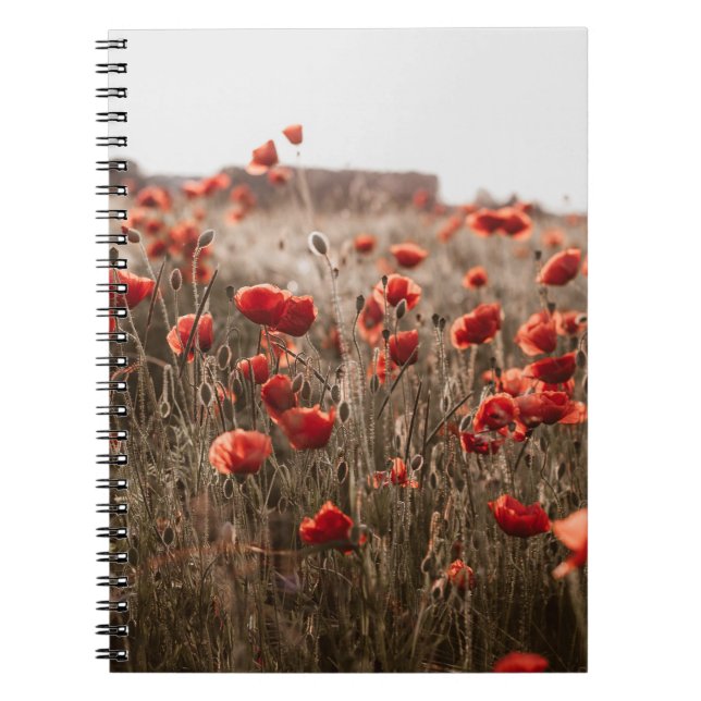 beautiful poppy flowers notebook (Front)