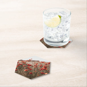 beautiful poppy flowers paper coaster