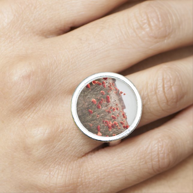 beautiful poppy flowers ring (In Situ)