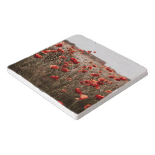 beautiful poppy flowers trivet