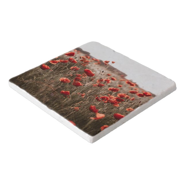 beautiful poppy flowers trivet (Corner)