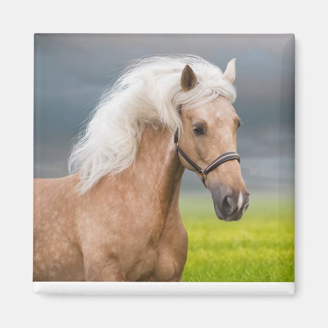 Beautiful Portrait Palomino Horse with Long Mane Magnet (Front)