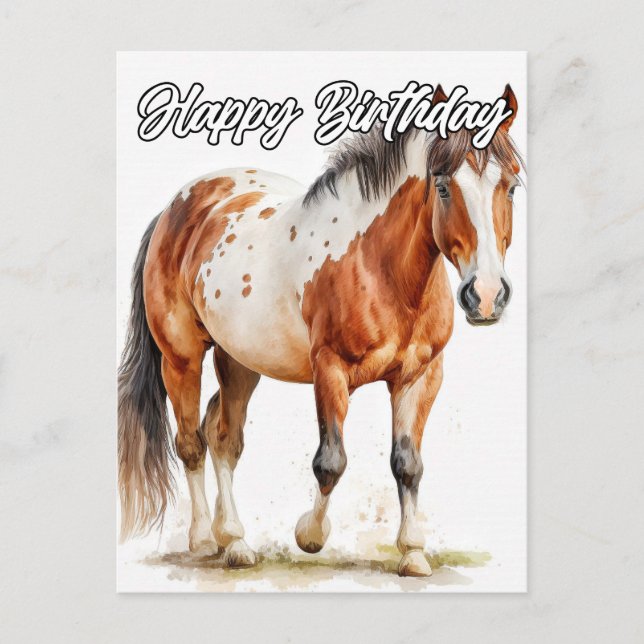Beautiful Posing Horse Illustration Postcard (Front)