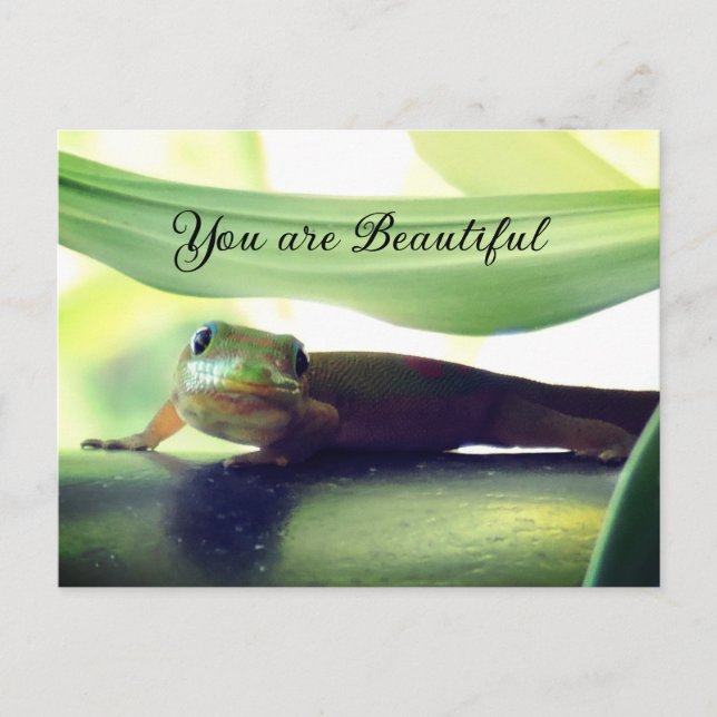 Beautiful Postcard (Front)