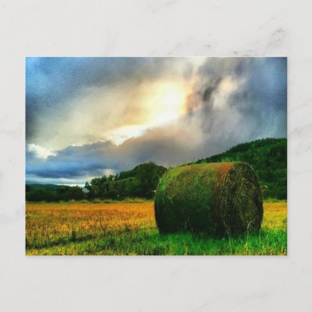 Beautiful postcard of a hayfield (Front)