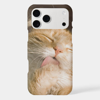Beautiful Preening Maine Coon Close Up Photograph iPhone 17 Pro Max Case