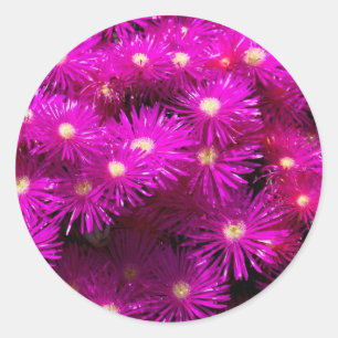 Beautiful Pretty Purple Flowers Custom Gifts Classic Round Sticker