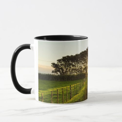 Beautiful printed Cup with nature pictures