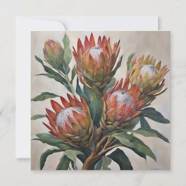 Beautiful Protea Flowers from South Africa (Front)