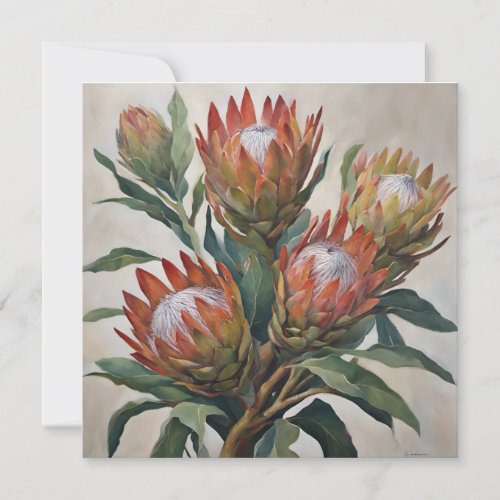 Beautiful Protea Flowers from South Africa