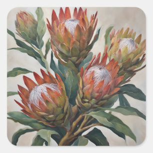 Beautiful Protea Flowers from South Africa Square Sticker