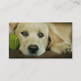 Beautiful puppy business card