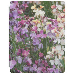 Beautiful Purple and White Floral iPad Smart Cover