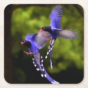 Beautiful Purple Birds in Flight Coaster Set