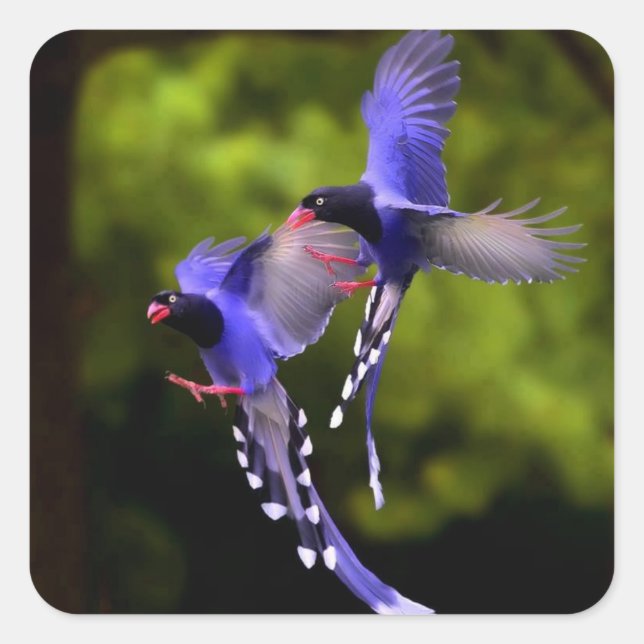 Beautiful Purple Birds in Flight Sticker Set (Front)
