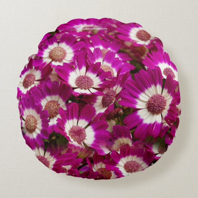 Beautiful Purple Cineraria Flowers Round Pillow (Front)