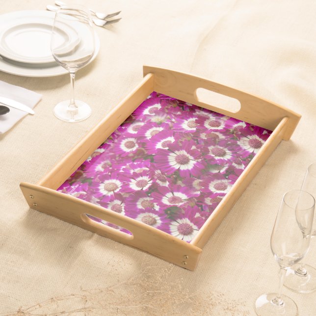 Beautiful Purple Cineraria Flowers Serving Tray (Front)