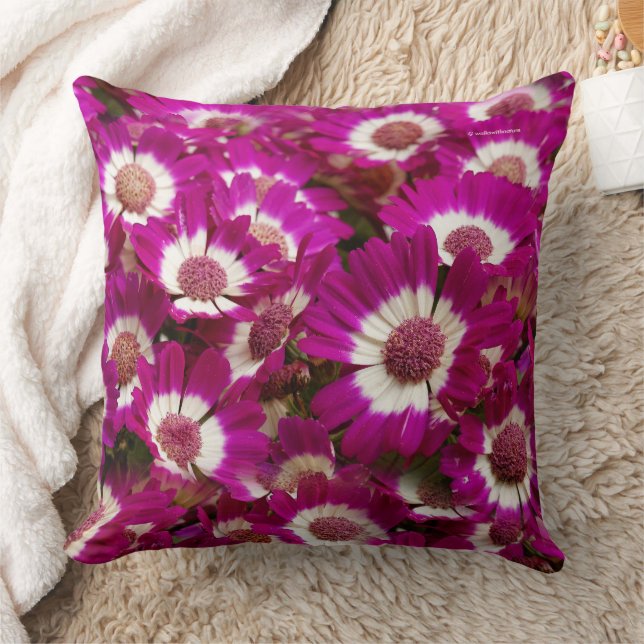 Beautiful Purple Cineraria Flowers Throw Pillow (Blanket)