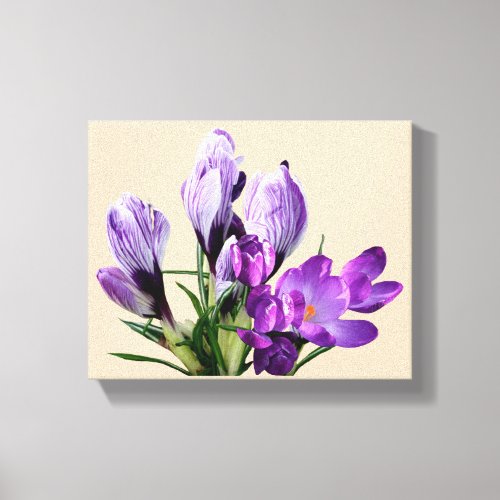 Beautiful purple crocus flowers trendy boho floral canvas print