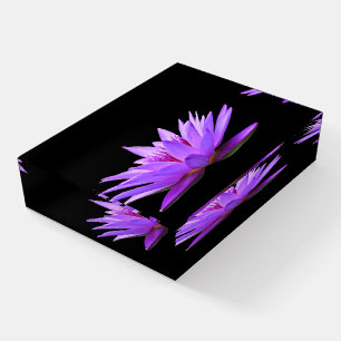 Beautiful Purple Floating Water Lily Paperweight