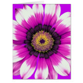 Beautiful purple flower (Front)