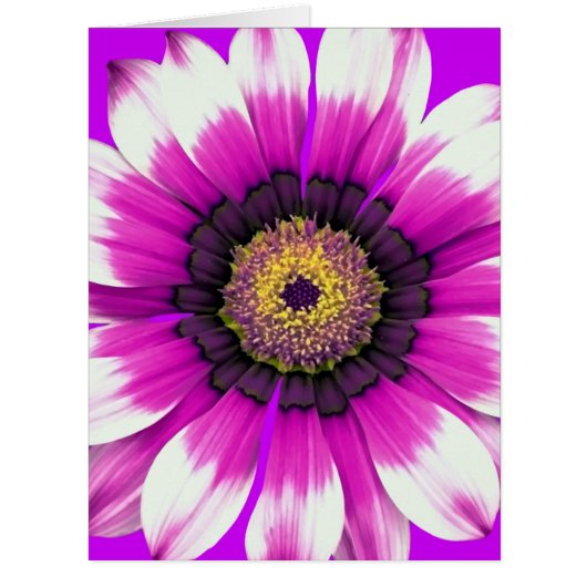 Beautiful purple flower cards (Front)