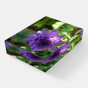 Beautiful Purple Flower Paperweight