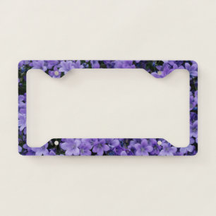 Beautiful Purple Flowers License Plate Frame