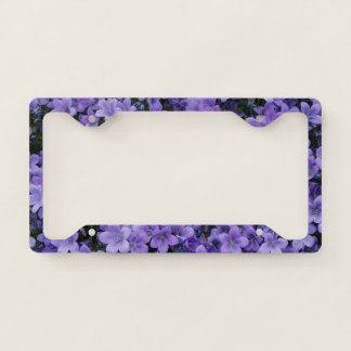 Beautiful Purple Flowers License Plate Frame