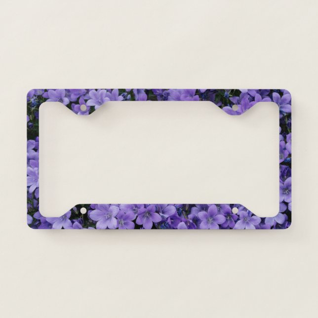 Beautiful Purple Flowers License Plate Frame (Front)