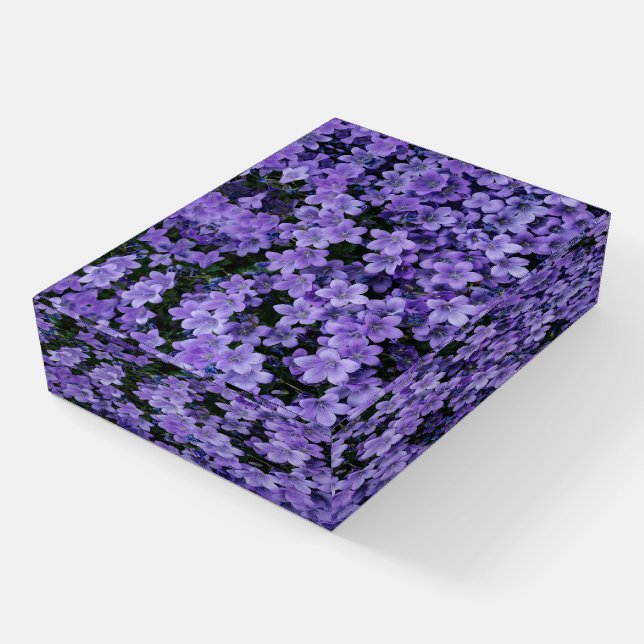 Beautiful Purple Flowers Paperweight (Angled)