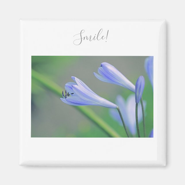 Beautiful Purple Flowers Smile Motivation Magnet (Front)